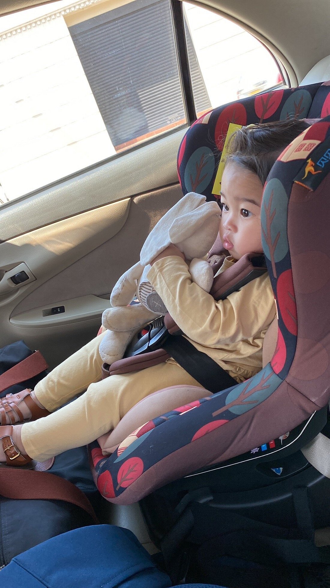 baby seat review